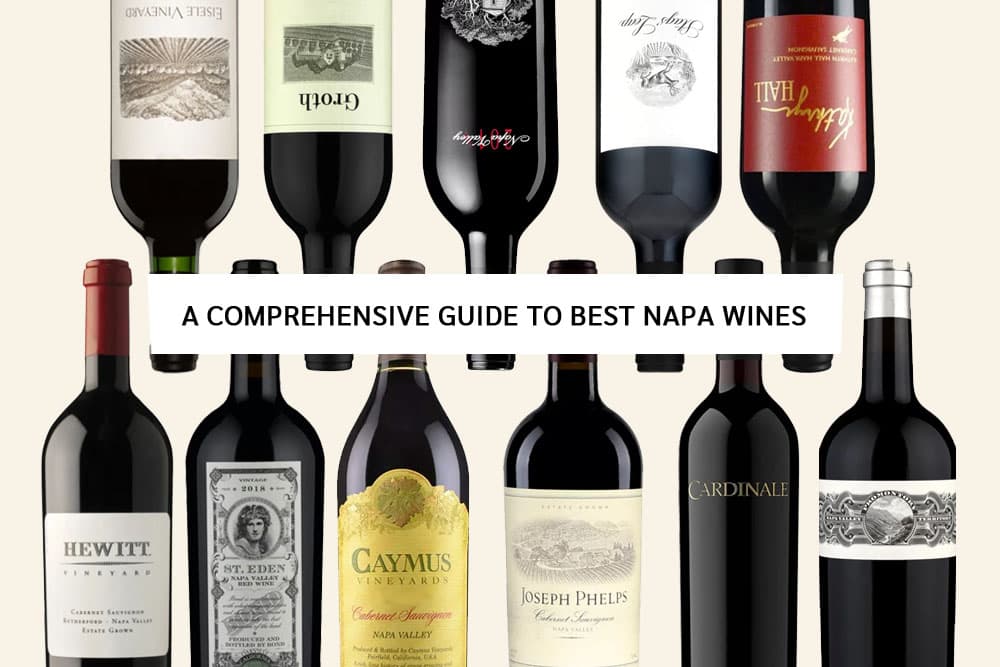 A Comprehensive Guide to Best Napa Wines Types and Gifting