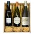 Sauvignon Blanc Wine Trio Set - Pack of 3