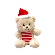 Teddy Bear toy