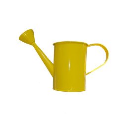 Watering can accessory