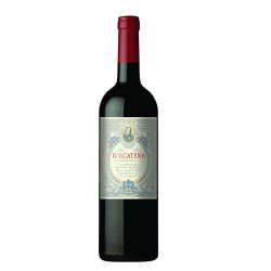 Catena DV Tinto Historico 2021 Red Blend Wine-750ML