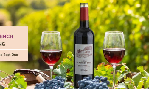 A Taste of France: Selecting the Best French Wines for Gifting