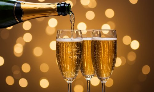 What Is Champagne & How It Is Made? A Complete Guide for Champagne Beginners