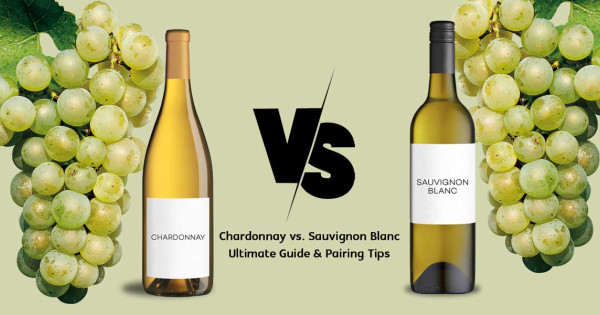 Chardonnay VS Sauvignon Blanc | Ultimate Guide