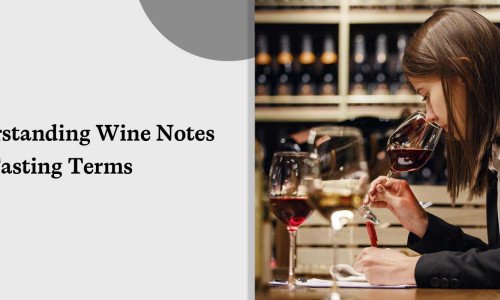 Understanding Wine Notes and Tasting Terms