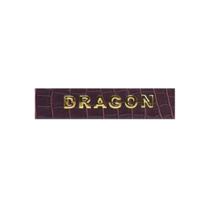 Dragon Dragon