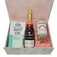 Moet and Chandon Care Package Gift Box