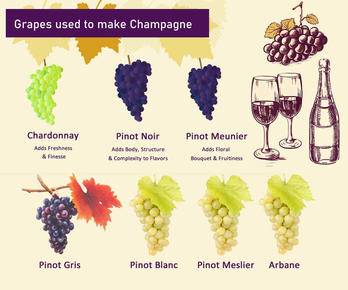 Grapes Are Used For Different Champagne Types?